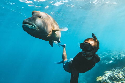 Great Barrier Reef Day Cruise To Reefworld - Hotels Melbourne 3