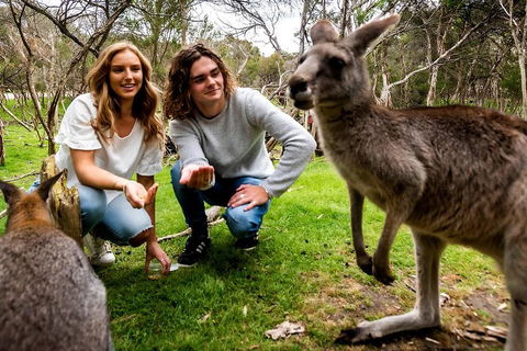 Moonlit Sanctuary Wildlife Conservation Park Daytime General Entry Ticket - Hotels Melbourne 2