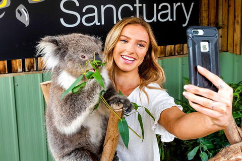 Moonlit Sanctuary Wildlife Conservation Park Daytime General Entry Ticket - Hotels Melbourne 4