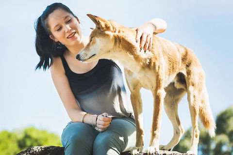 Moonlit Sanctuary Wildlife Conservation Park Daytime General Entry Ticket - Hotels Melbourne 5