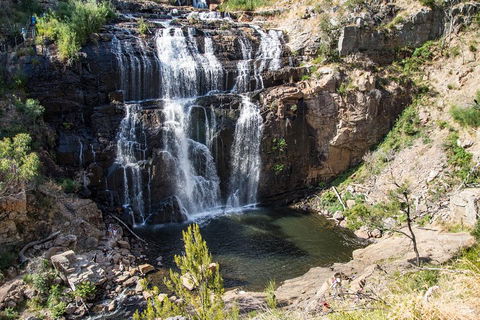 Grampians National Park With Kangaroos And MacKenzie Falls From Melbourne - Hotels Melbourne 1