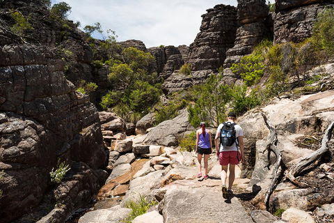 Grampians National Park With Kangaroos And MacKenzie Falls From Melbourne - Hotels Melbourne 3