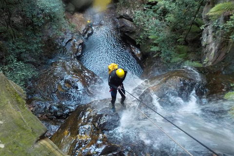 Full-Day Canyoning Experience At Stunning Empress Canyon - Hotels Melbourne 4