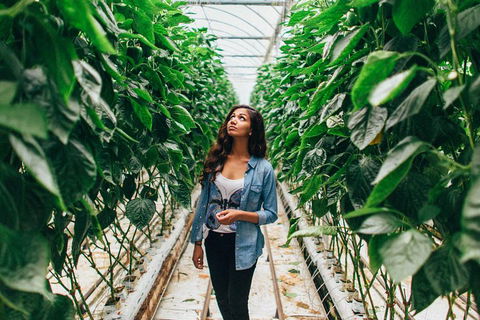 Yarra Valley Local Produce And Wine Tasting Tour - Hotels Melbourne 0