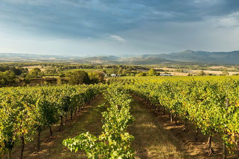 Yarra Valley Local Produce And Wine Tasting Tour - Hotels Melbourne 3