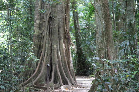 Noosa And Sunshine Coast Hinterland Day Trip From Brisbane - Hotels Melbourne 3