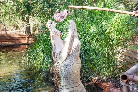 3 In 1 Tour: Matsoâ€™s Brewery, Broome Museum & Malcolm Douglas Crocodile Park - Hotels Melbourne 3