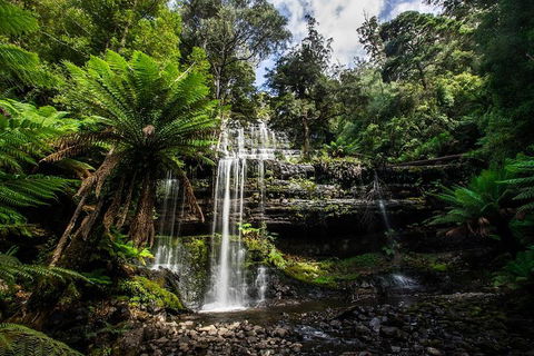 3-Day Tour To The Falls, Mountains, Lake & More Of West Coast Tasmania - Hotels Melbourne 4