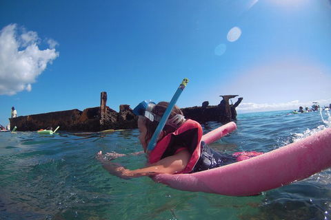All Inclusive Dolphin And Tangalooma Wrecks Cruise - Hotels Melbourne 2