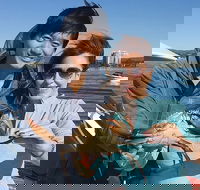 Gold Coast City Sights Tour from Gold Coast - Hotels Melbourne