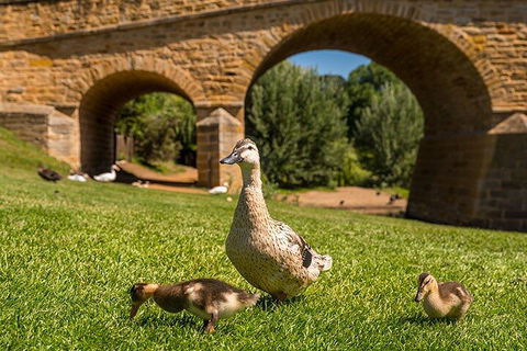 Richmond Historic Afternoon Tour From Hobart - Hotels Melbourne 1