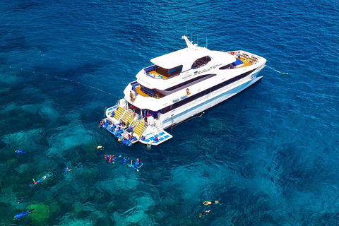 Great Barrier Reef Snorkeling And Diving Cruise From Cairns - Hotels Melbourne 5