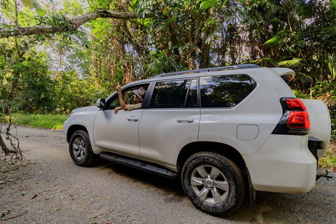 Full Day Cooktown Private Tour - Hotels Melbourne 3