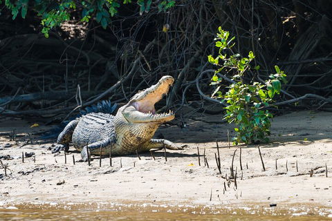 Full Day Cooktown Private Tour - Hotels Melbourne 4