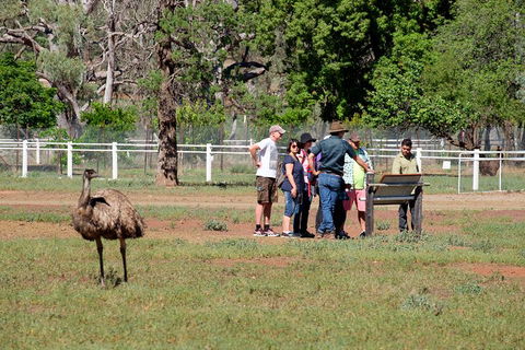 Yura Udnyu - Our Culture, Your Culture (Aboriginal Cultural Walk) - Hotels Melbourne 1