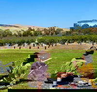 Private Picnic and Wine Tasting Experience in Barossa Valley - Hotels Melbourne