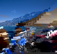 Seal Island Boat Tour from Victor Harbor - Hotels Melbourne