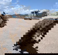 Magnetic Island Tour Maggie Comprehensive - Hotels Melbourne