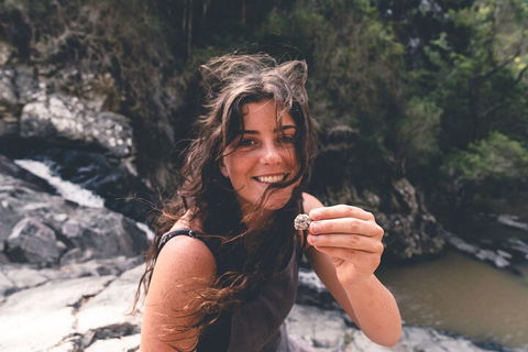 Springbrook AndTamborine Rainforest Tour Incl Natural Bridge And Glow Worm Cave - Hotels Melbourne 1