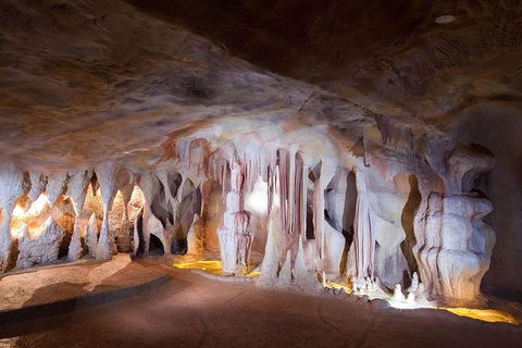 Springbrook AndTamborine Rainforest Tour Incl Natural Bridge And Glow Worm Cave - Hotels Melbourne 4