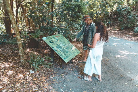 Springbrook AndTamborine Rainforest Tour Incl Natural Bridge And Glow Worm Cave - Hotels Melbourne 5
