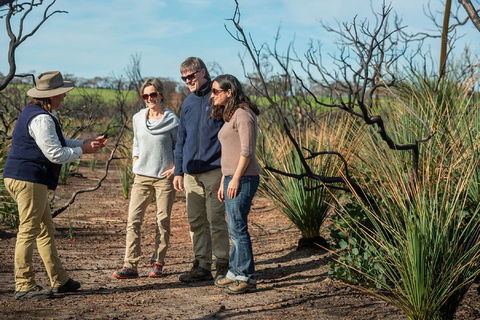 NEW TOUR - Kangaroo Island Road To Recovery Tour (1 Day/1 Night) - Hotels Melbourne 4