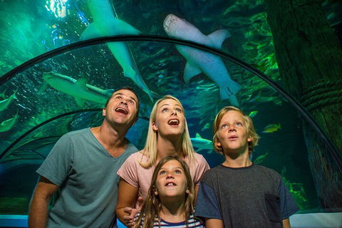 SEA LIFE Sunshine Coast Aquarium Entrance Ticket - Hotels Melbourne 3