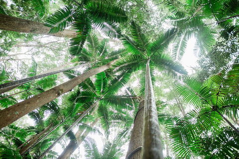 Fraser Explorer K'gari 2-Day Tour - Hotels Melbourne 2