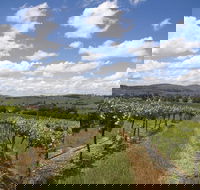 Hunter Valley Wine Tour from Sydney incl Lunch Cheese Chocolate and Distillery - Hotels Melbourne