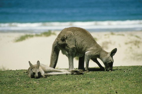 Great Ocean Road Highlights Tour - 2 Days, 1 Night - Hotels Melbourne 2